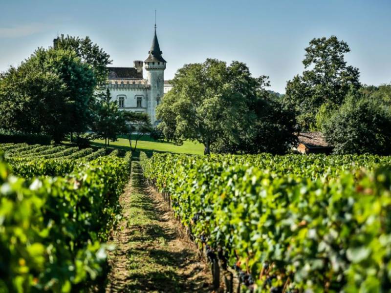 albarinjo i marselan u vinima iz bordoa 