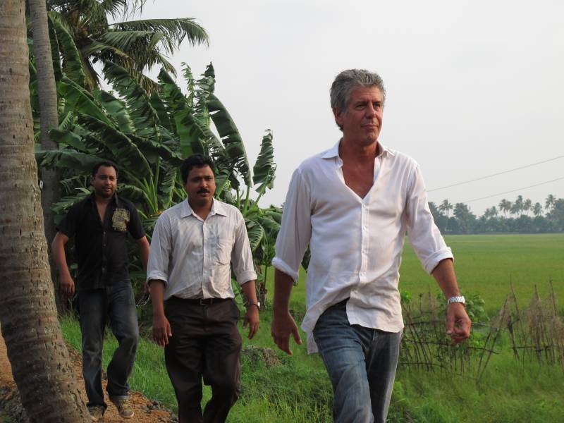 cela planeta obeležila je dan entonija bordejna