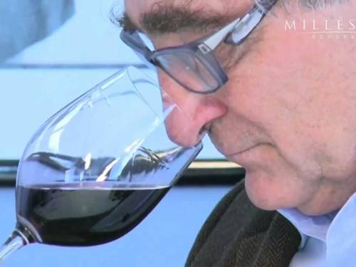 marketing je danas postao deo teroara