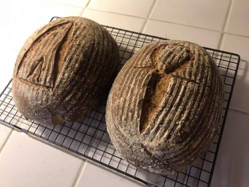 ispečen hleb sa kvascem starim 4 500 godina