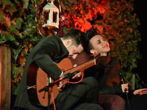 amira medunjanin pevala u vinariji deurić