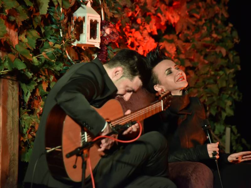 amira medunjanin pevala u vinariji deurić