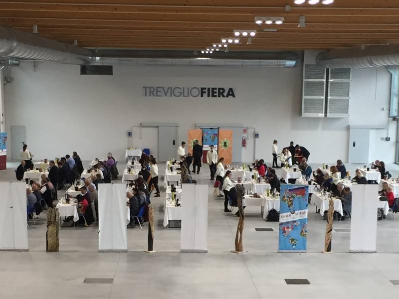 trinaest zlata za srbiju na takmičenju u bergamu