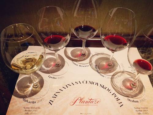 predstavljeno pet vinskih aduta plantaža
