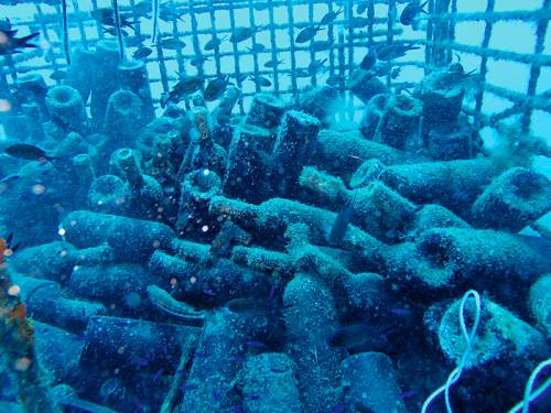 održan prvi kongres o podvodnim vinima