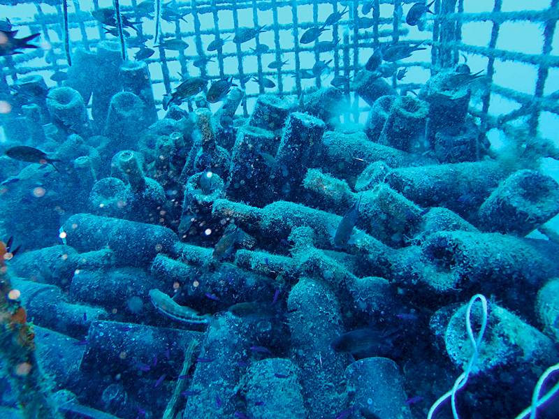 održan prvi kongres o podvodnim vinima