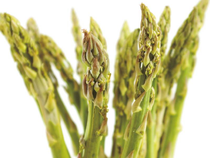 istarska gozba špargle