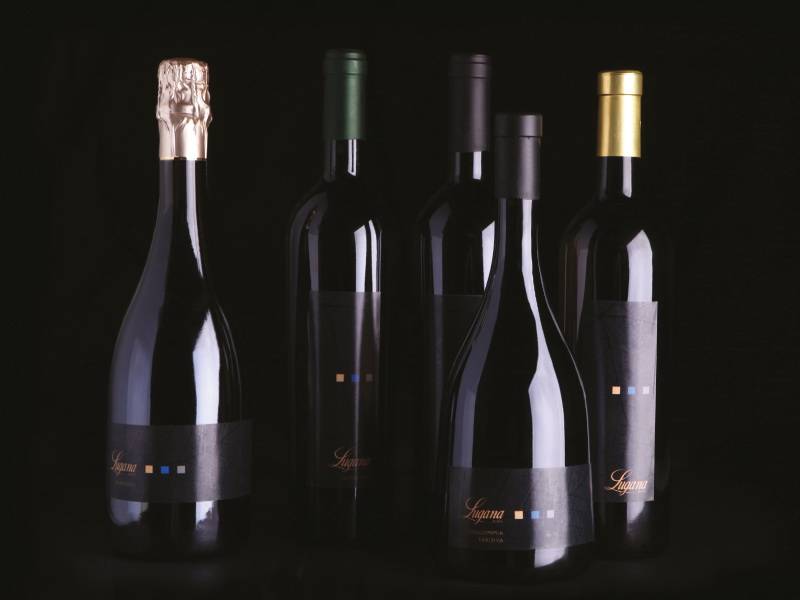 belo vino, bela zemlja i jedno plavo jezero