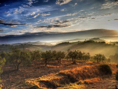 gde god pogledaš, vidiš nešto lepo