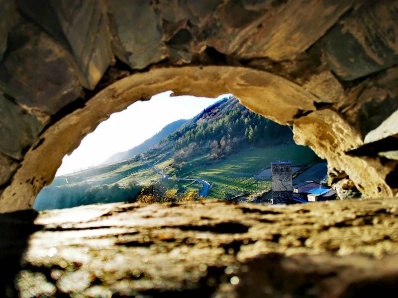 raznovrsno, ukusno i drevno