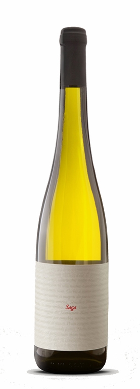 vino nedelje saga 2015