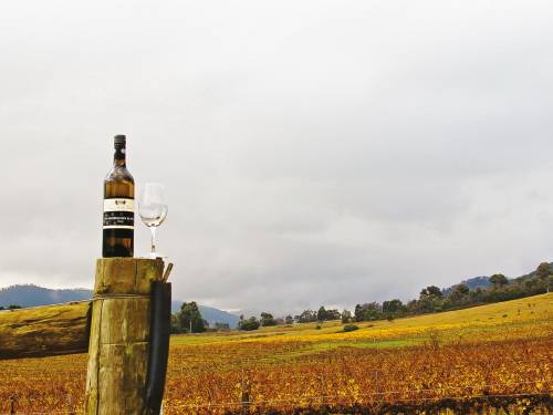 lepo vaspitani divljak