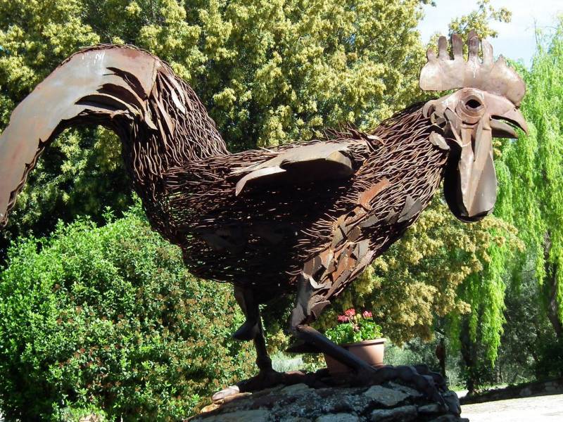 priča o crnom petlu